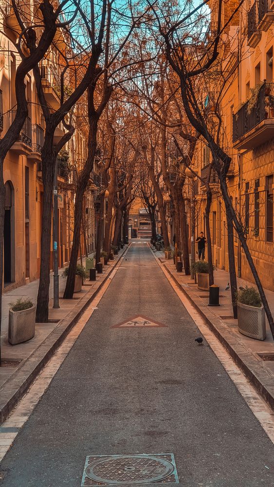 Leere Wohnstraße in Barcelona mit ockerfarbenen Fassaden und kahlen Bäumen im Winterlicht